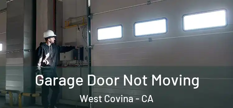  Garage Door Not Moving West Covina - CA