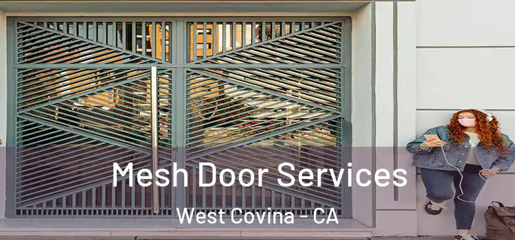 Mesh Door Services West Covina - CA